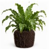Planter cover Shaggy M
