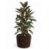 Planter cover Shaggy L