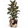 Planter cover Shaggy Cow L
