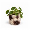 Planter cover Shaggy Cow S