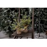 Arbre de noël LED Bella h 30cm