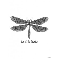 Affiche Dragonfly