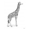 Print Giraffe