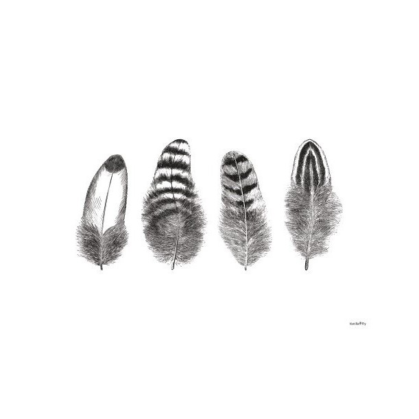 Print Feathers