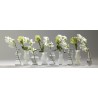 Set of 6 Transparent Soliflores Rene Barba Serax