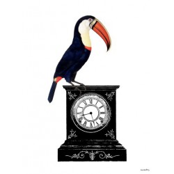 Print Pelican Watch Vanilla Fly