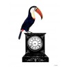 Print Pelican Watch Vanilla Fly