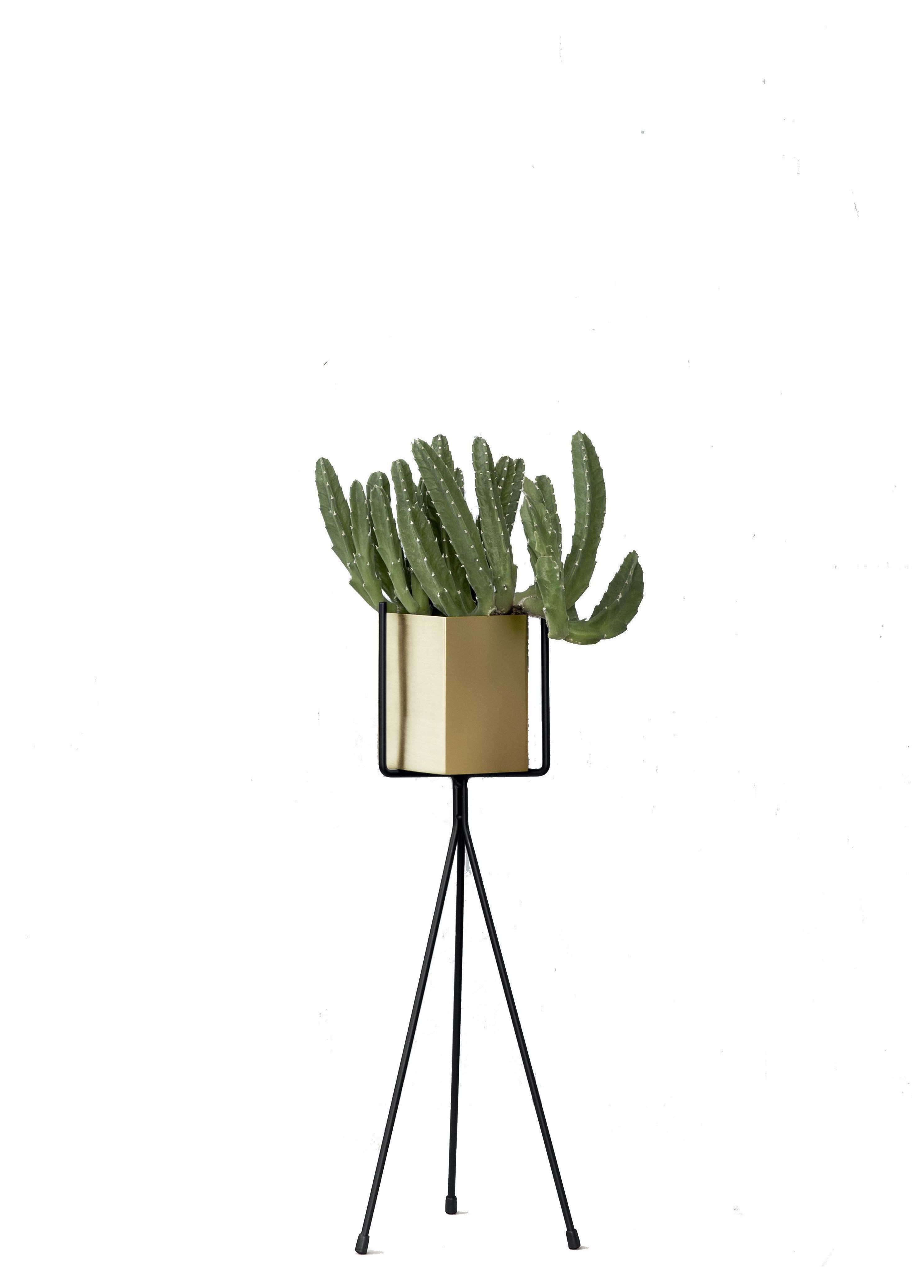 Sinis Forføre løn Small Plant Stand Ferm Living